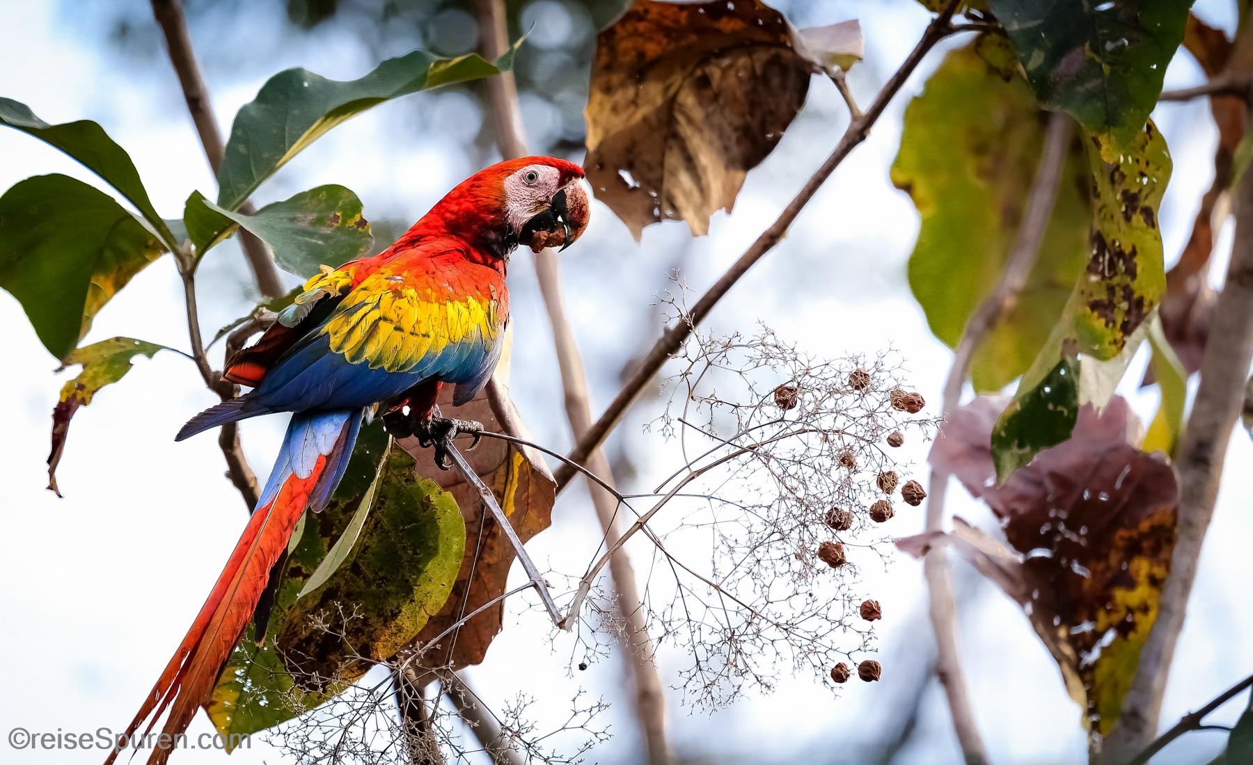 Costa Rica