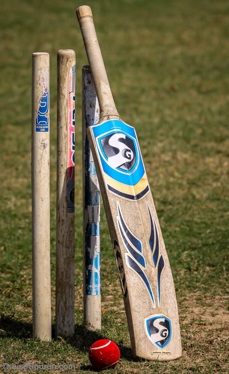 Cricket